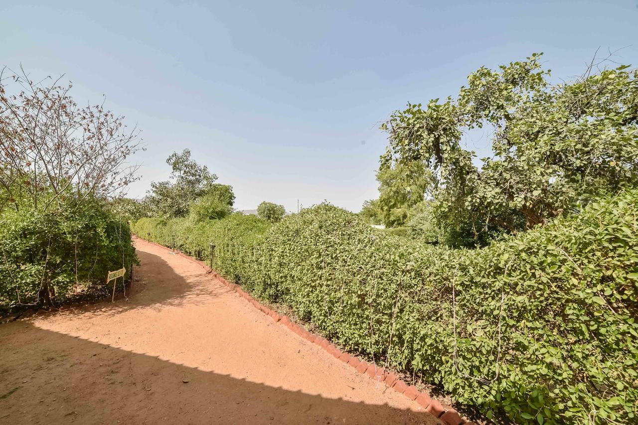 Pushkar Rajwara Resort Exterior photo